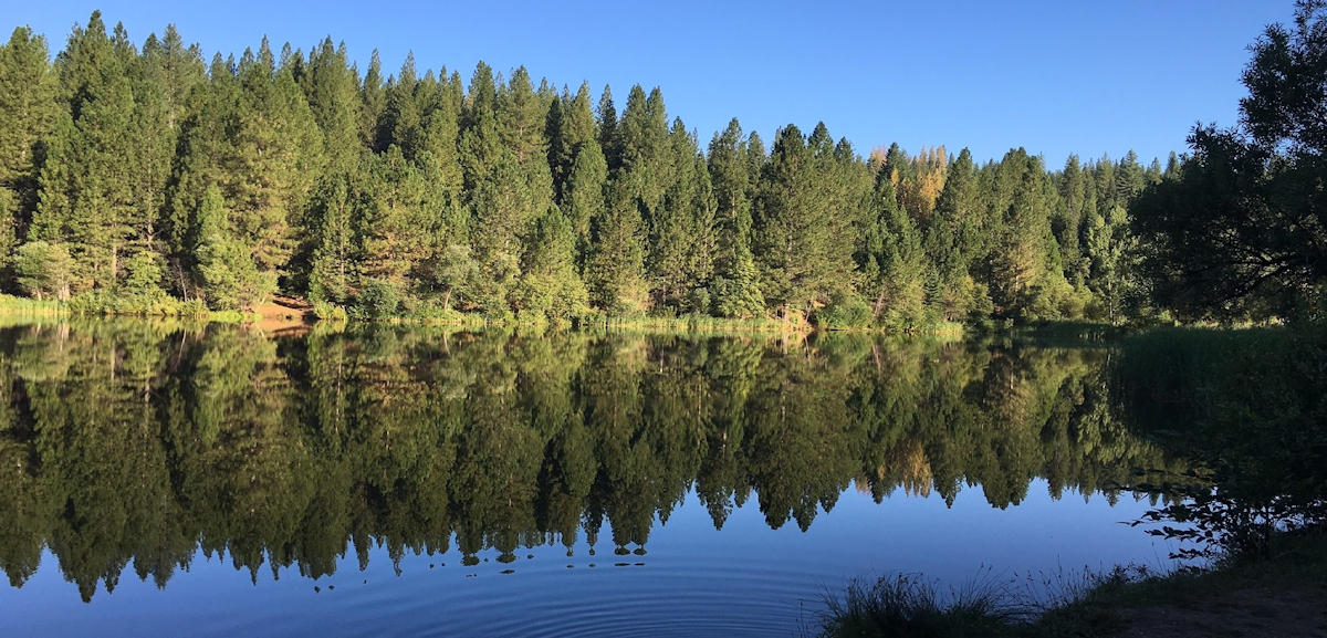 Home Dorrington Realty